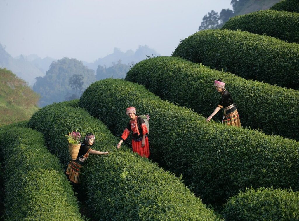 budget travel experiences