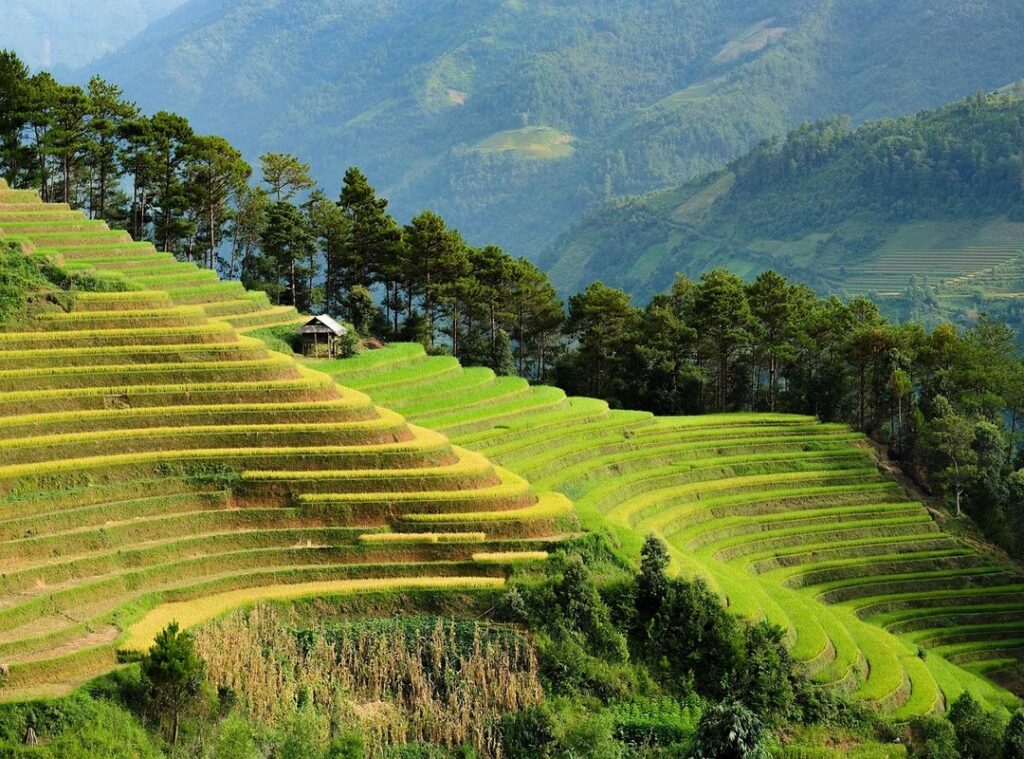 eco travel tourism