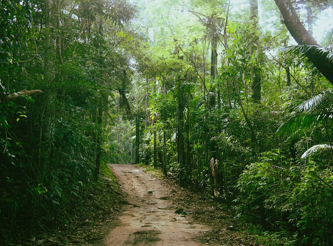 jungle expeditions tips