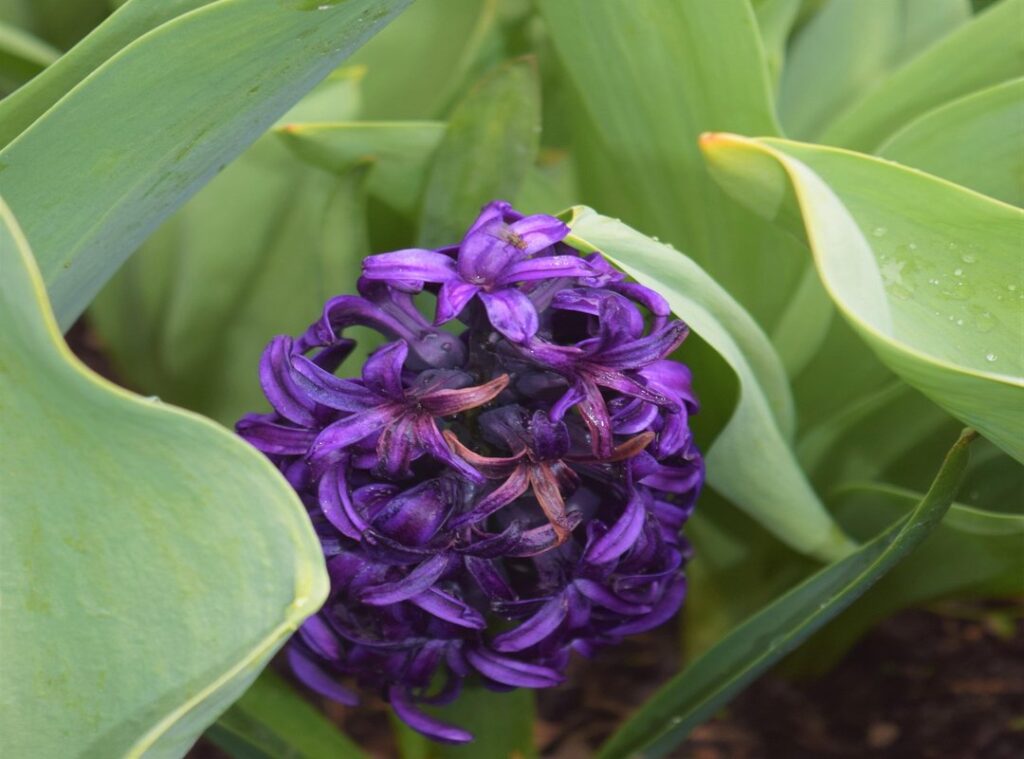 lesser-known destinations gems