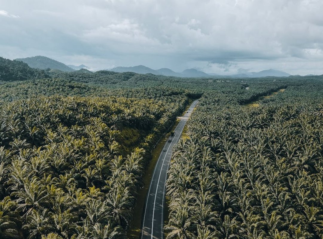 sustainable tourism growth