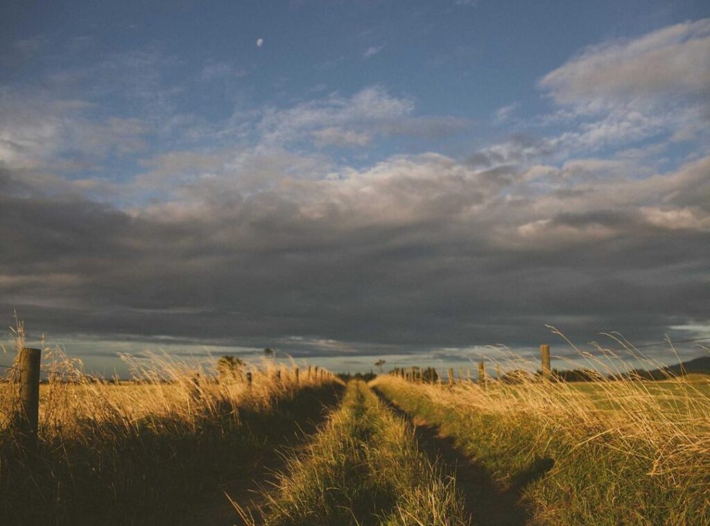 whatsapp:tzfpben5l8s= fotos de perfil