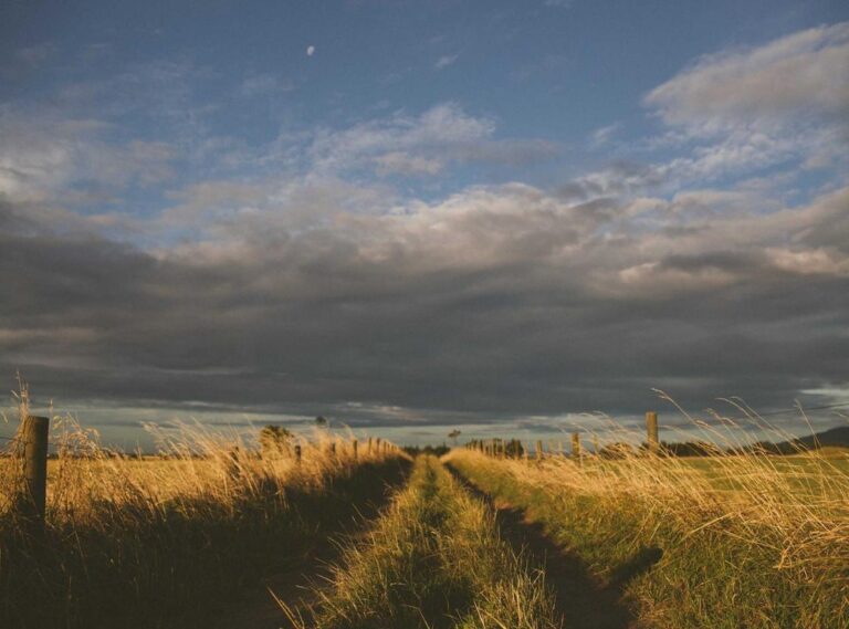 whatsapp:tzfpben5l8s= fotos de perfil